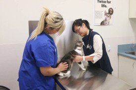 bestfriendsvet.jpg